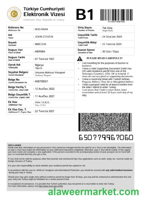 Turkey e-visa template in Word and PDF formats